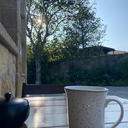 Familiar Con Jardín Y Parking Privado Usúrbil